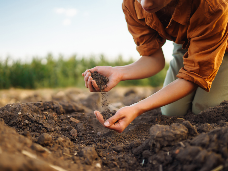 Organic Khatar – કુદરત સાથે ખેતી કરો, આરોગ્યભર્યુ પાક પેદા કરો!