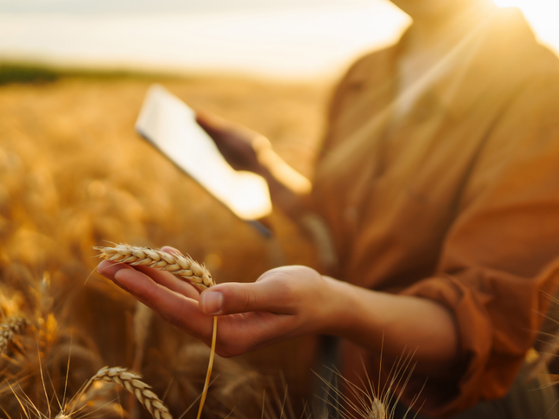 Smart Khedut Bano – ગુજરાતનો કિસાન હવે બનશે સ્માર્ટ Smart Khedut Bano – ગુજરાતનો કિસાન હવે બનશે સ્માર્ટ