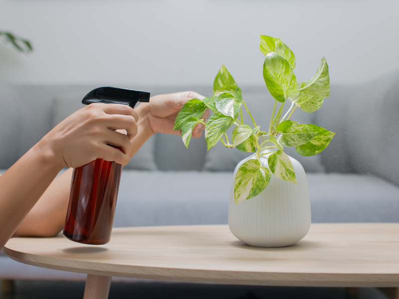 Organic Khatar – કુદરત સાથે ખેતી કરો, આરોગ્યભર્યુ પાક પેદા કરો!