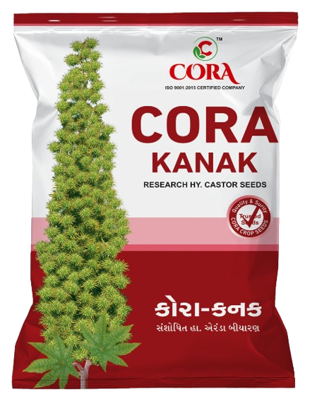 untitled design 2 removebg preview