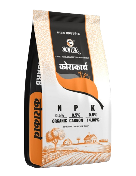 2 removebg preview (1)