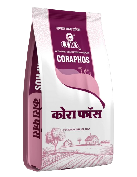 3 removebg preview (1)